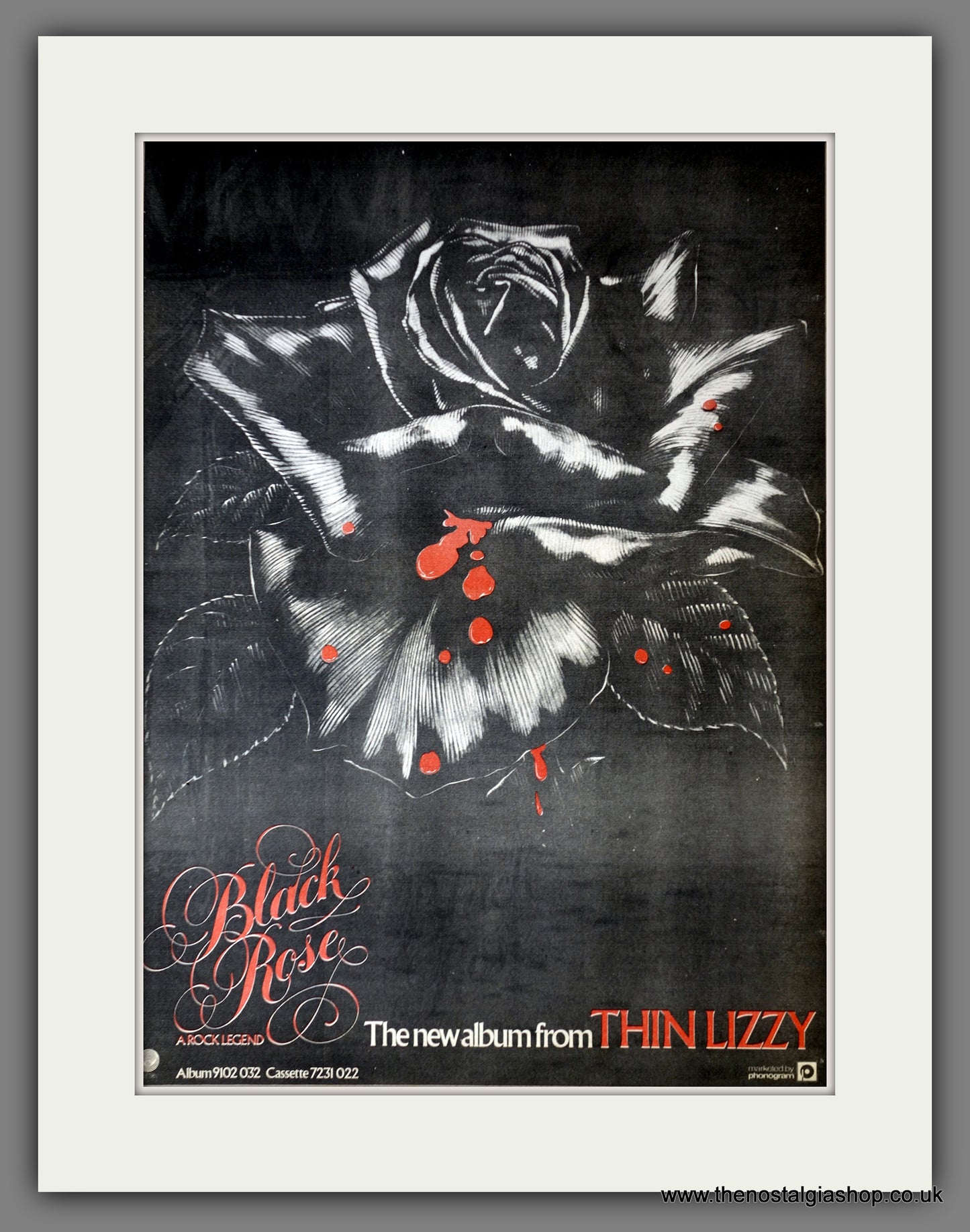 Thin Lizzy. Black Rose. Original Advert 1979 (ref AD14179)