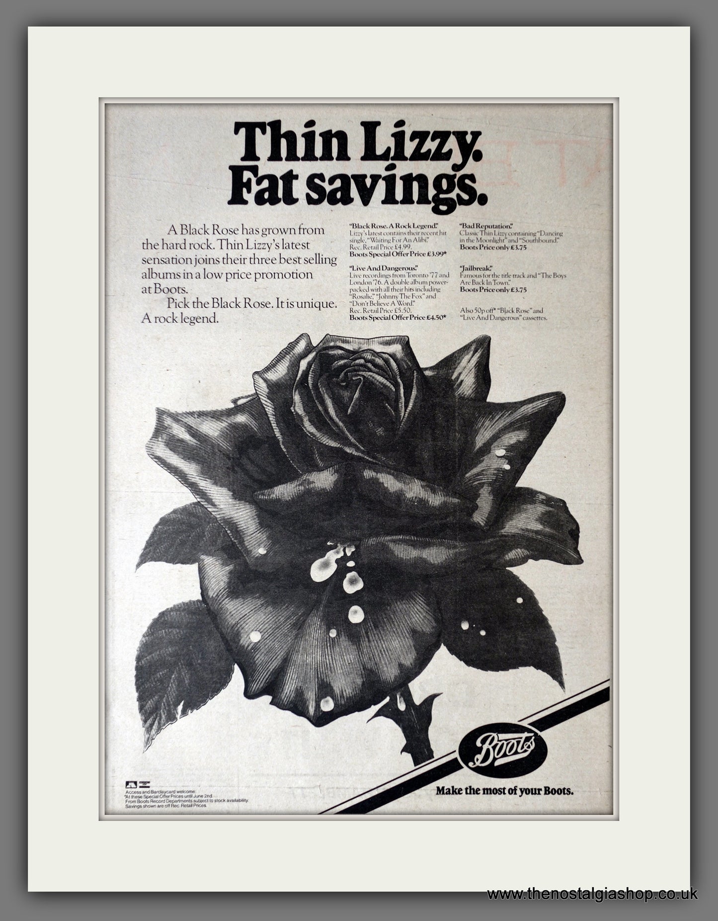 Thin Lizzy. Black Rose. Original Advert 1979 (ref AD14181)