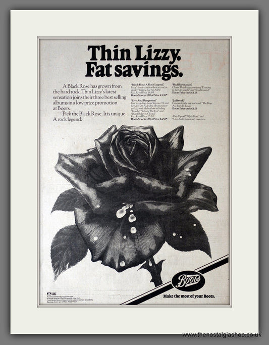 Thin Lizzy. Black Rose. Original Advert 1979 (ref AD14181)