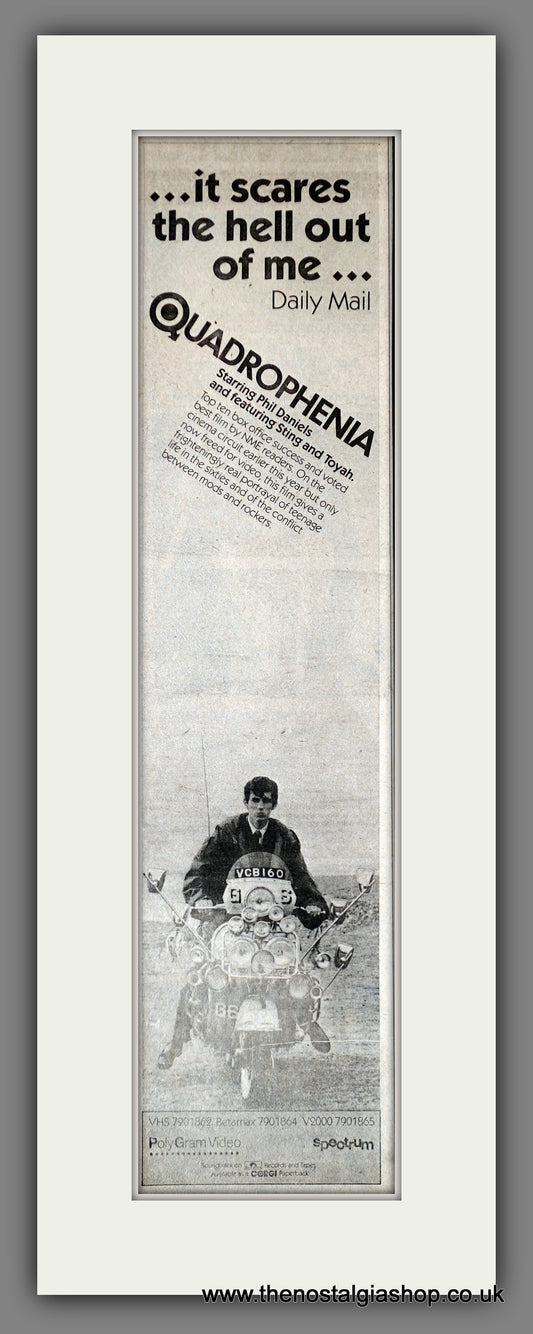 Quadrophenia. Vintage Advert 1981  (ref AD200316)