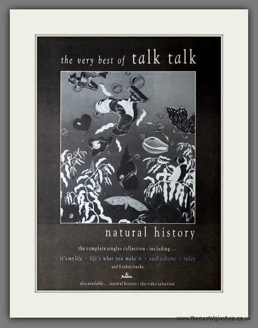 Talk Talk. Natural History. Vintage Advert 1990 (ref AD14340)