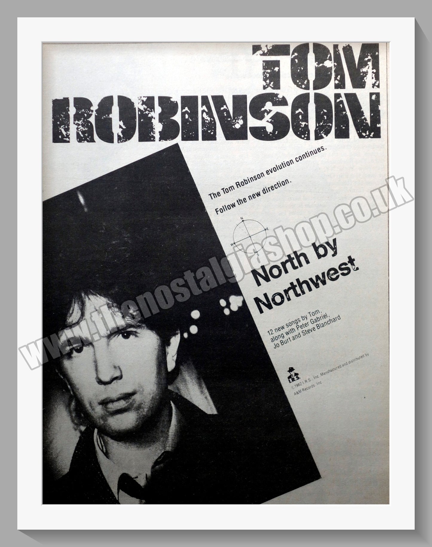 Tom Robinson. North By North West Original Advert 1982 (ref AD14455)