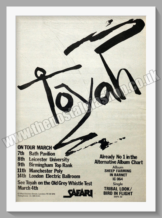 Toyah On Tour.  Original Advert 1980 (ref AD14506)