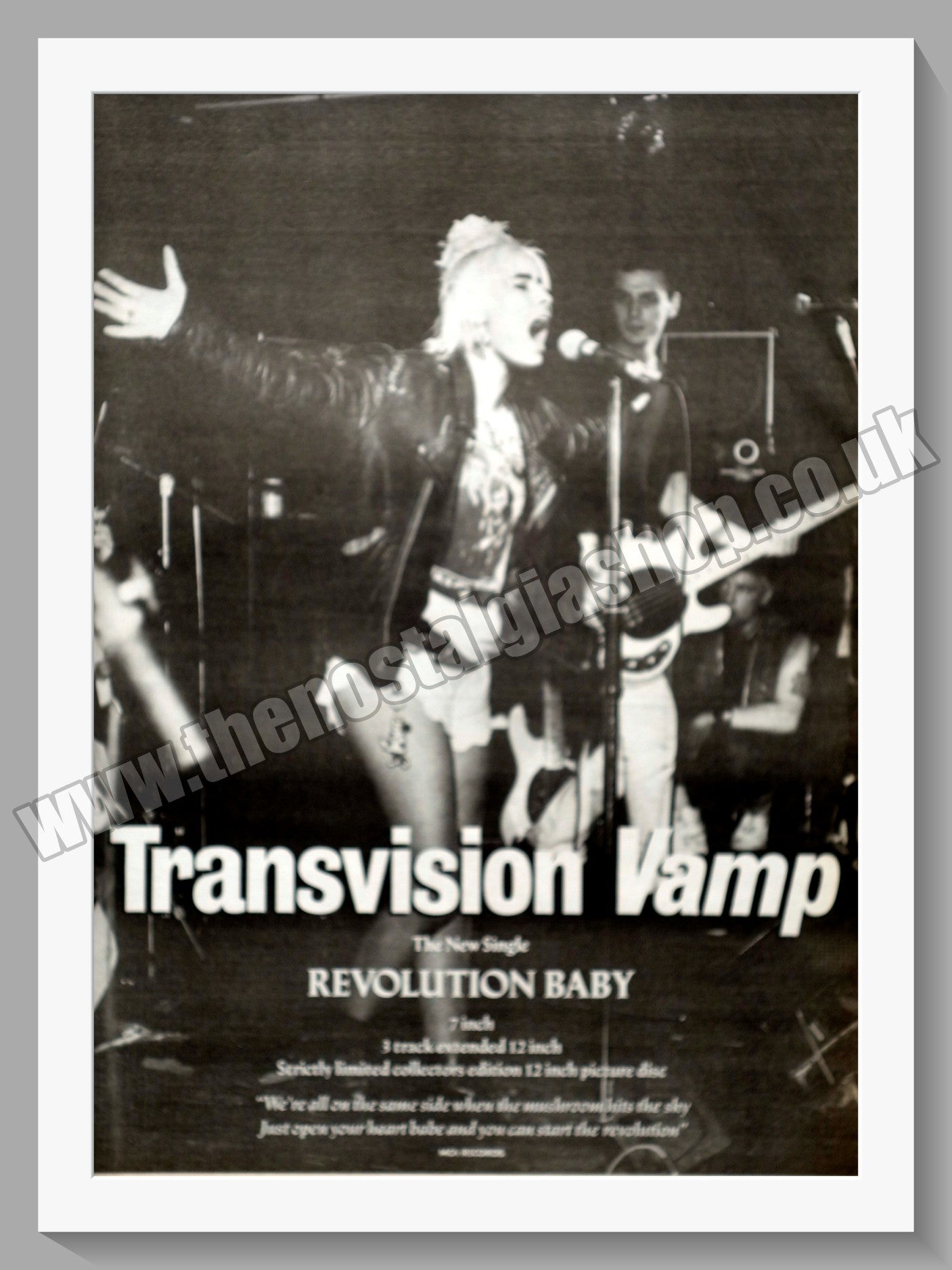 Transvision Vamp. Revolution Baby.  Original Advert 1988 (ref AD14507)