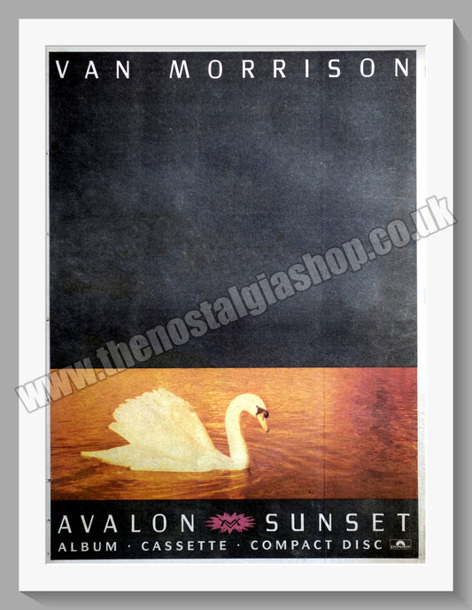 Van Morrison. Avalon Sunset. Original Advert 1989 (ref AD14529)