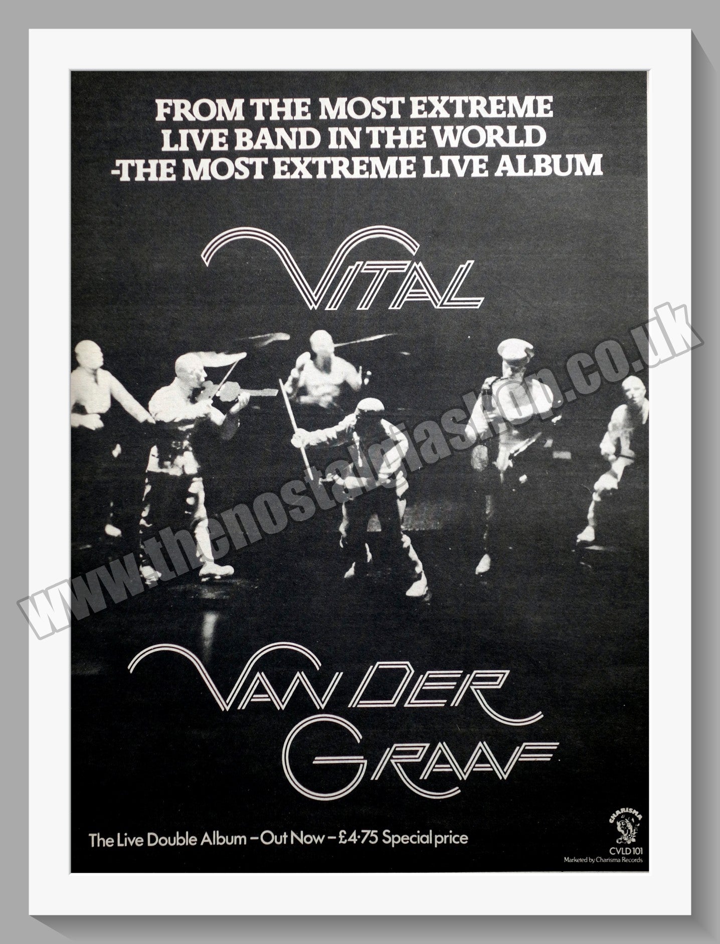 Van Der Graaf. Vital. Original Advert 1978 (ref AD14552)