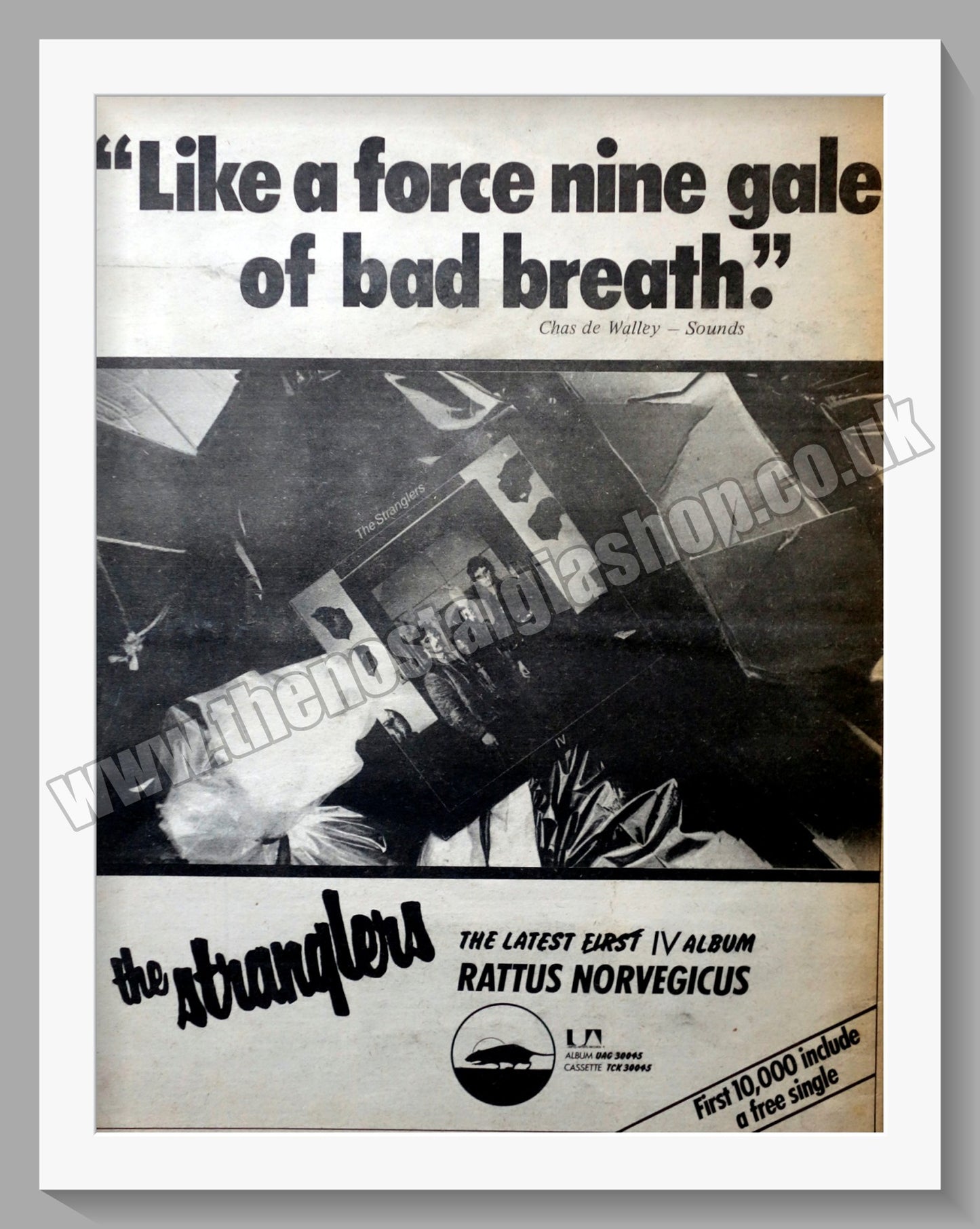 Stranglers. Rattus Norvegicus. Vintage Advert 1977 (ref AD14608)