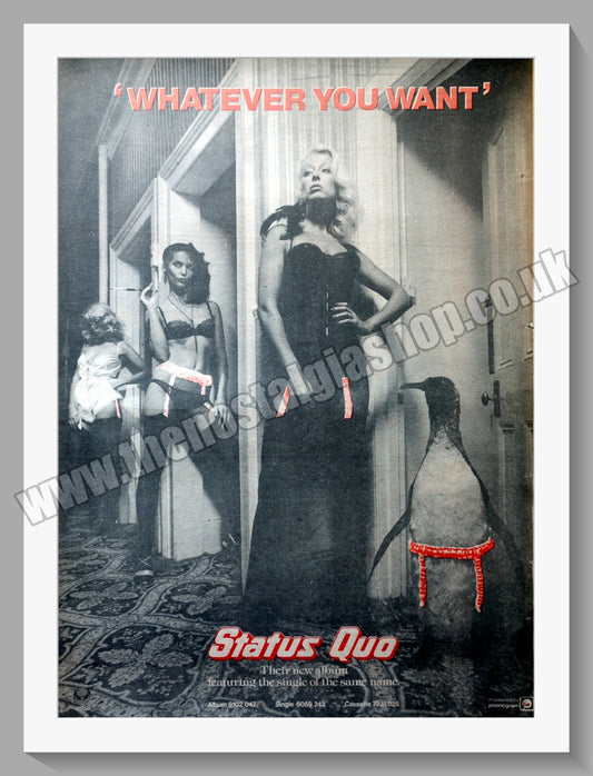 Status Quo Whatever You Want. Vintage Advert 1979 (ref AD14650)