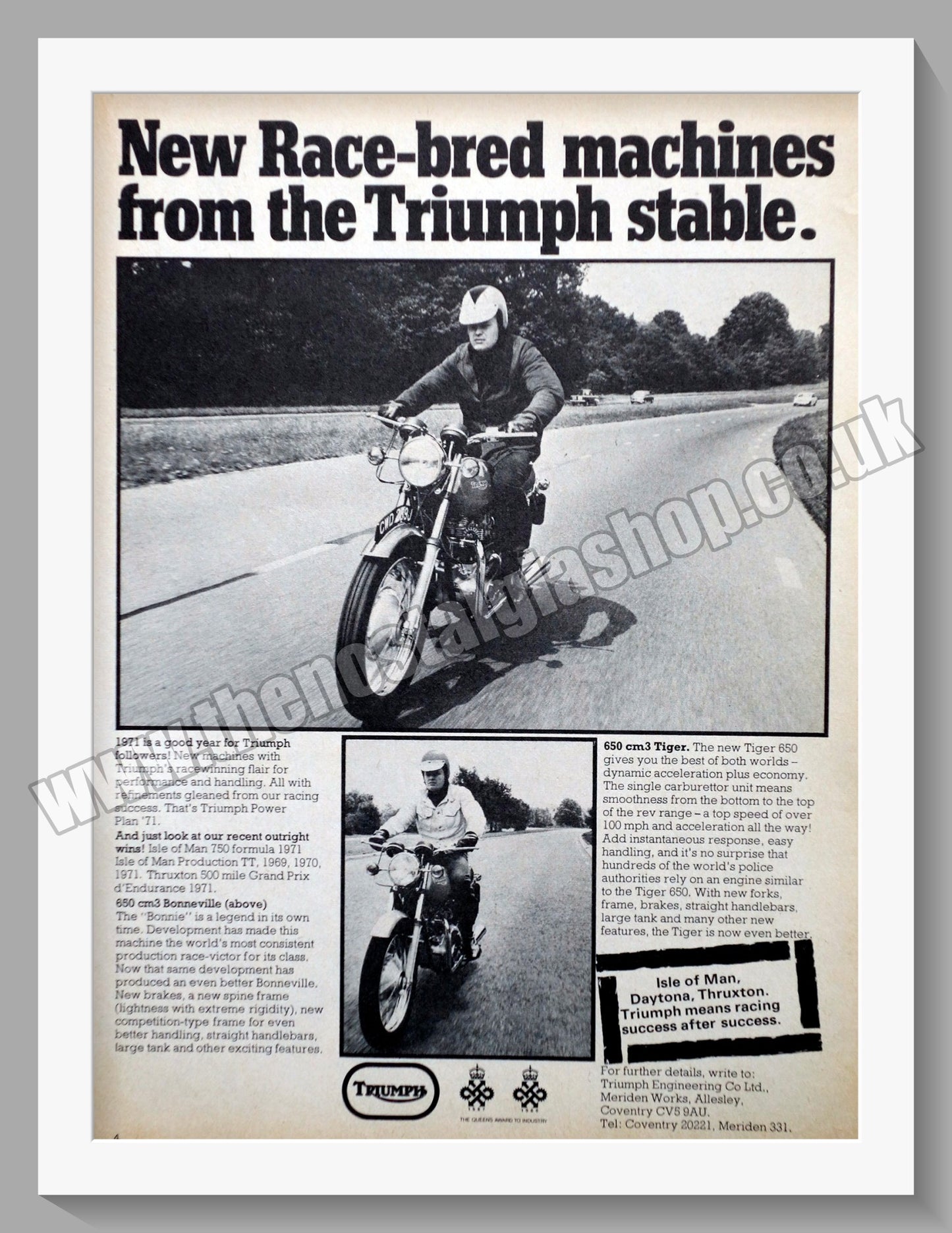 Triumph Motorcycles Race-Bred. Original advert 1971 (ref AD57943)