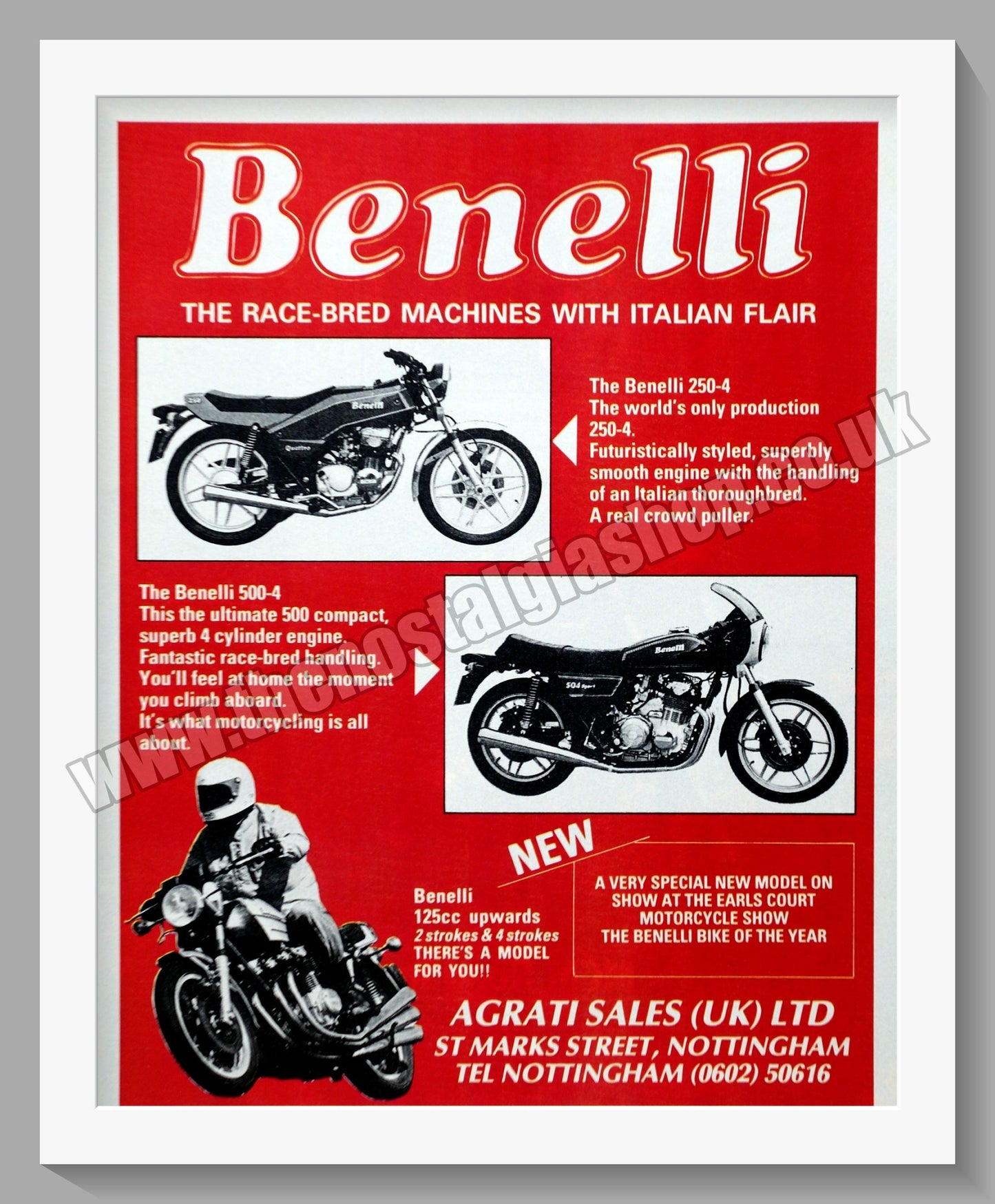 Benelli Motorcycles. Original Advert 1979 (ref AD60101)