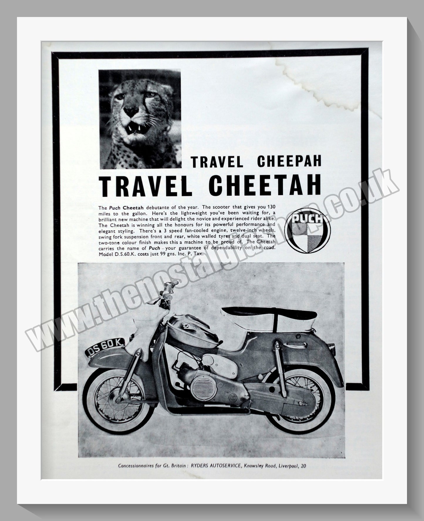 Puch Cheetah Motorcycle. Original Advert 1960 (ref AD60114)