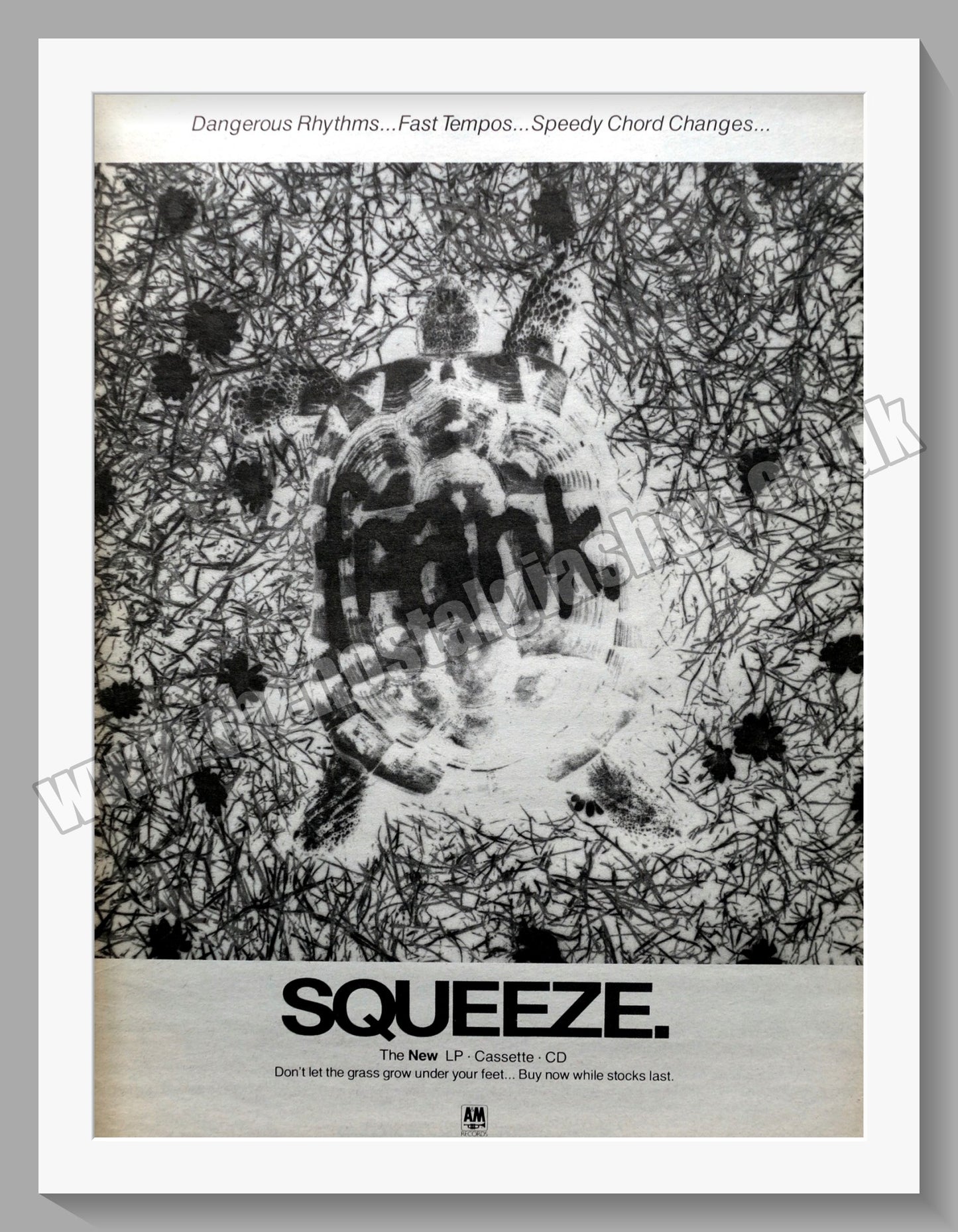 Squeeze Frank.  Original Advert 1989 (ref AD14766)