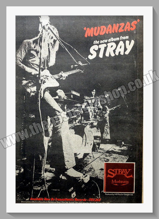 Stray Mudanzas.  Original Advert 1973 (ref AD14843)