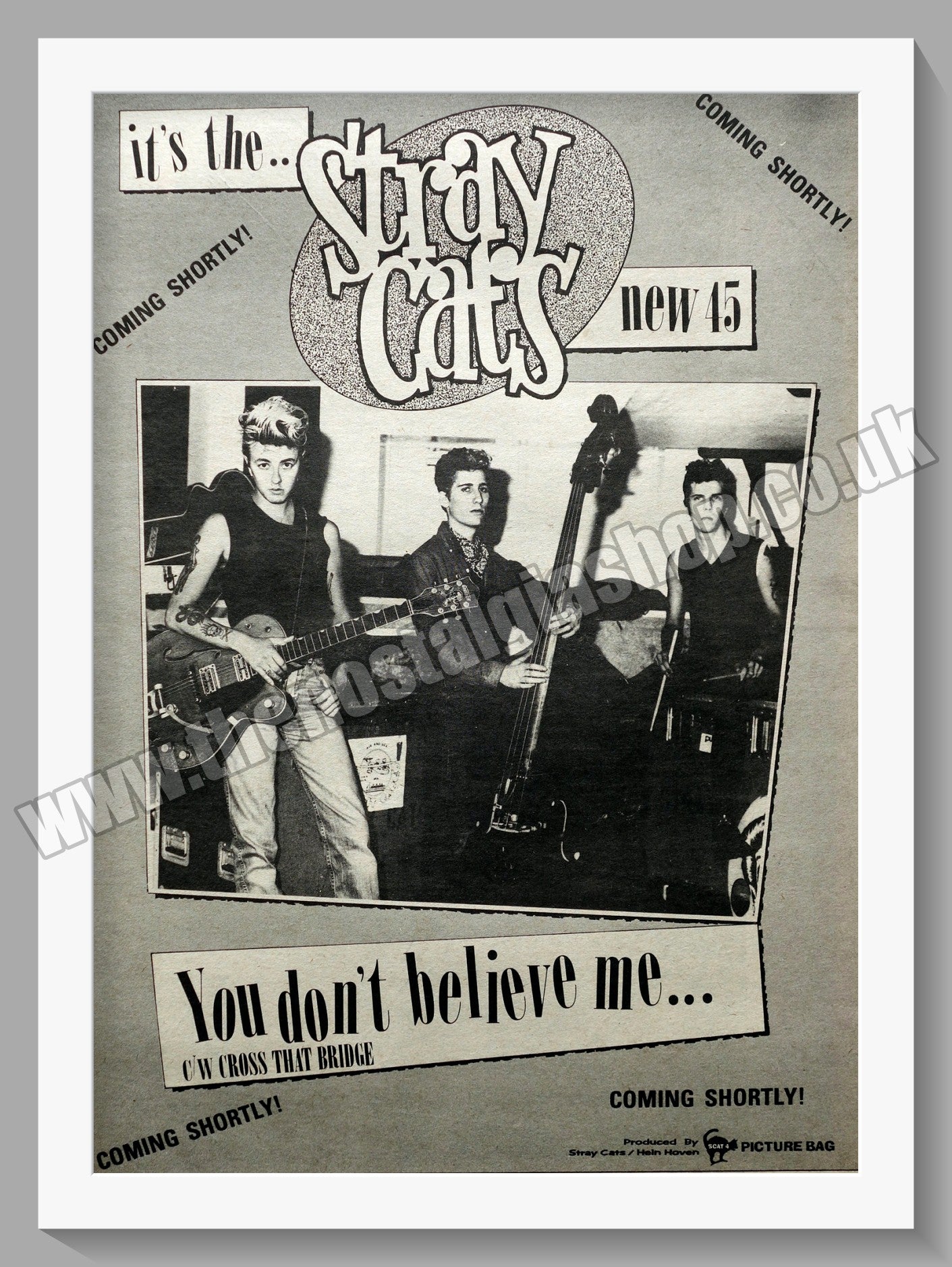 Stray Cats You Don't Believe Me.  Original Advert 1981 (ref AD14846)