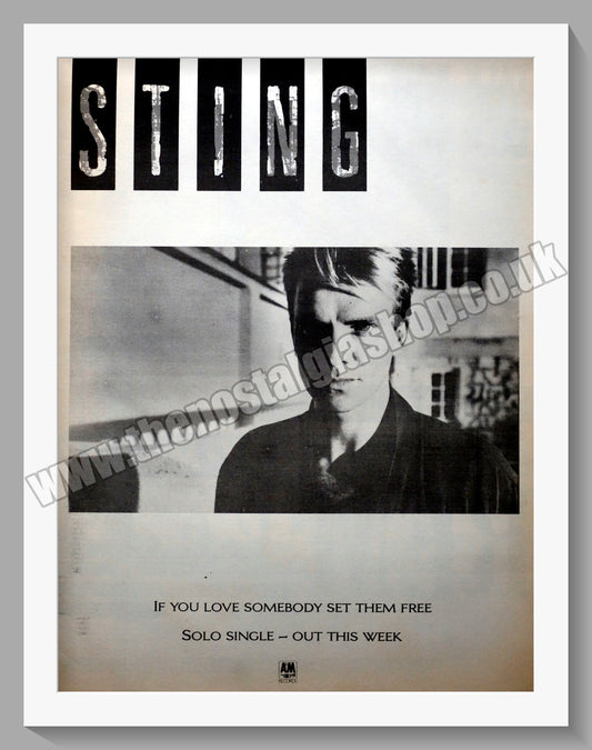 Sting If You Love Somebody Set Them Free.  Original Advert 1985 (ref AD14914)