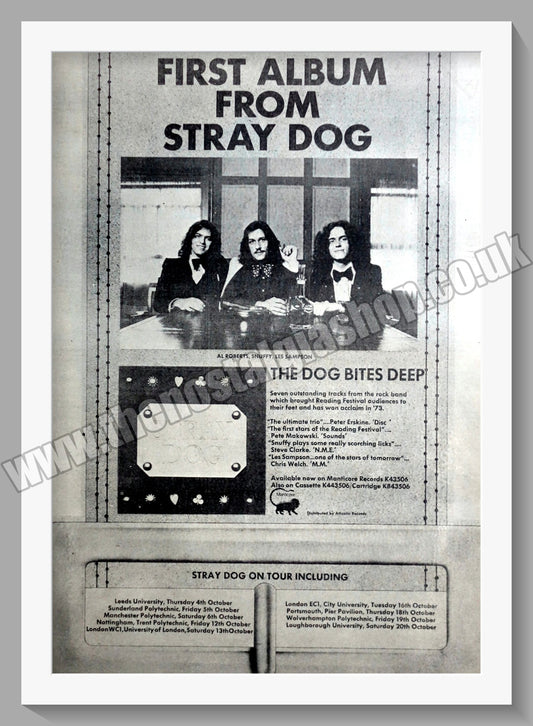 Stray Dog Tour.  Original Advert 1973 (ref AD14944)