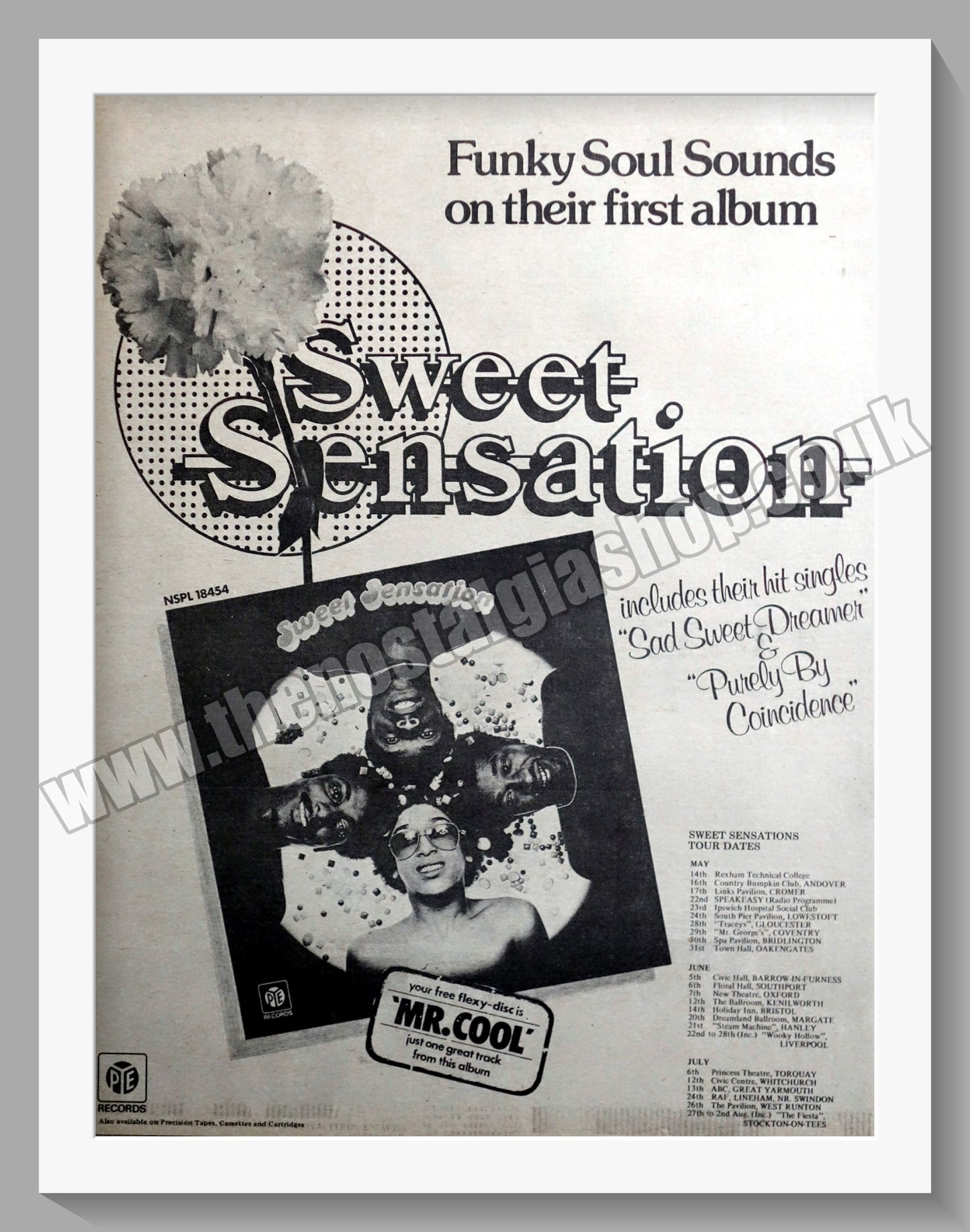 Sweet Sensation Tour Dates.  Original Advert 1975 (ref AD14959)