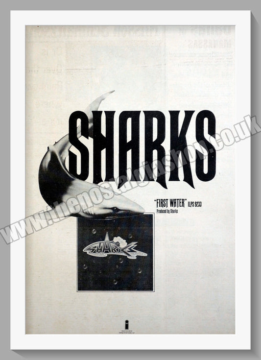 Sharks First Water. Original Advert 1973 (ref AD15005)