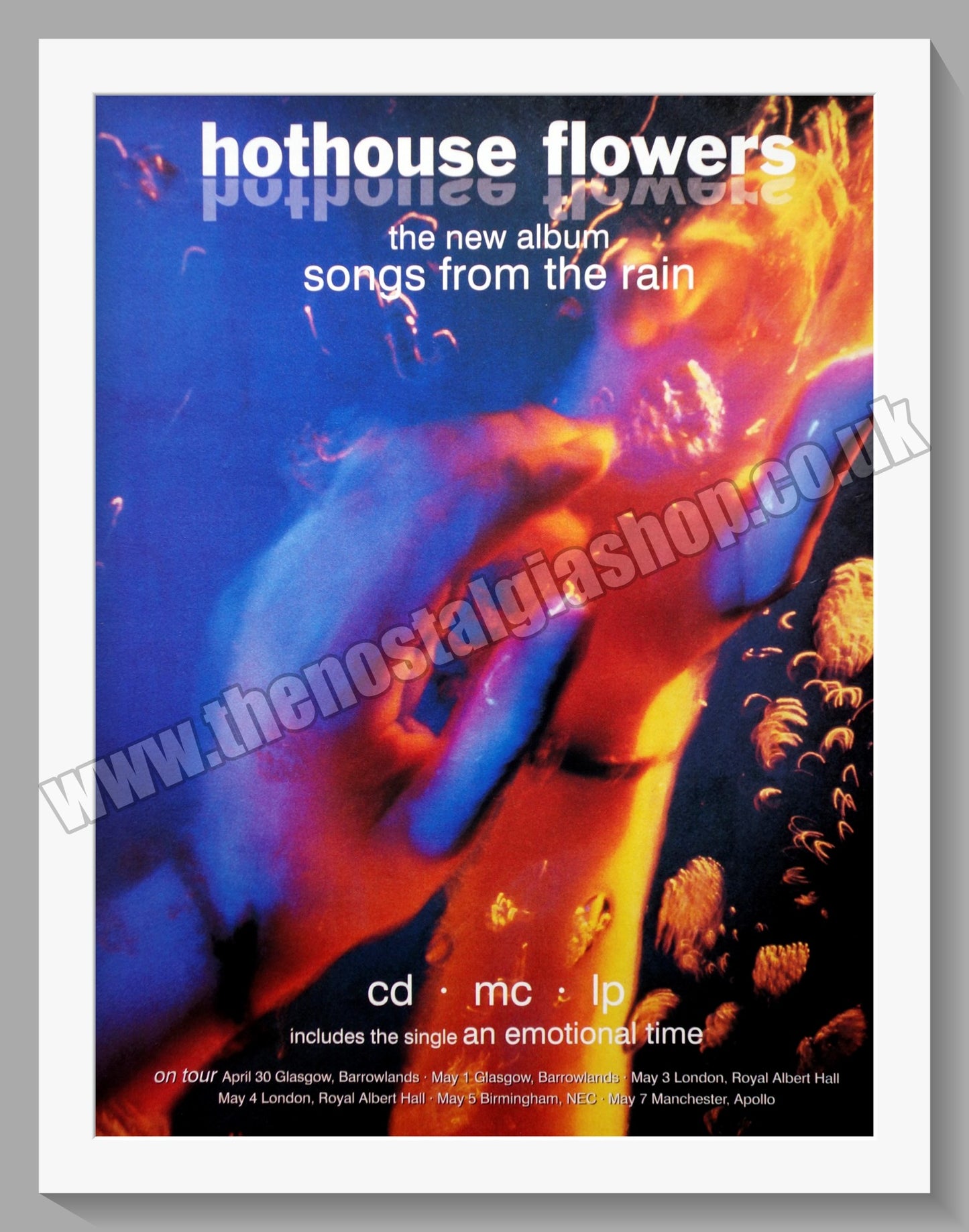 Hothouse Flowers. Songs From The Rain. Original Vintage Advert 1993 (ref AD60288)