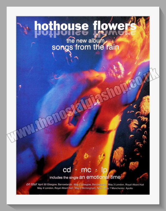 Hothouse Flowers. Songs From The Rain. Original Vintage Advert 1993 (ref AD60288)