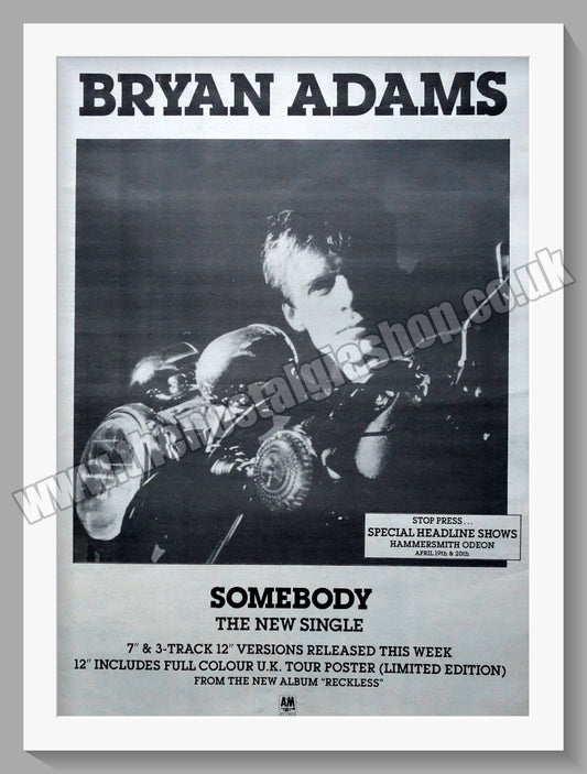 Bryan Adams Somebody.1985 Large Original Advert (ref AD15136)