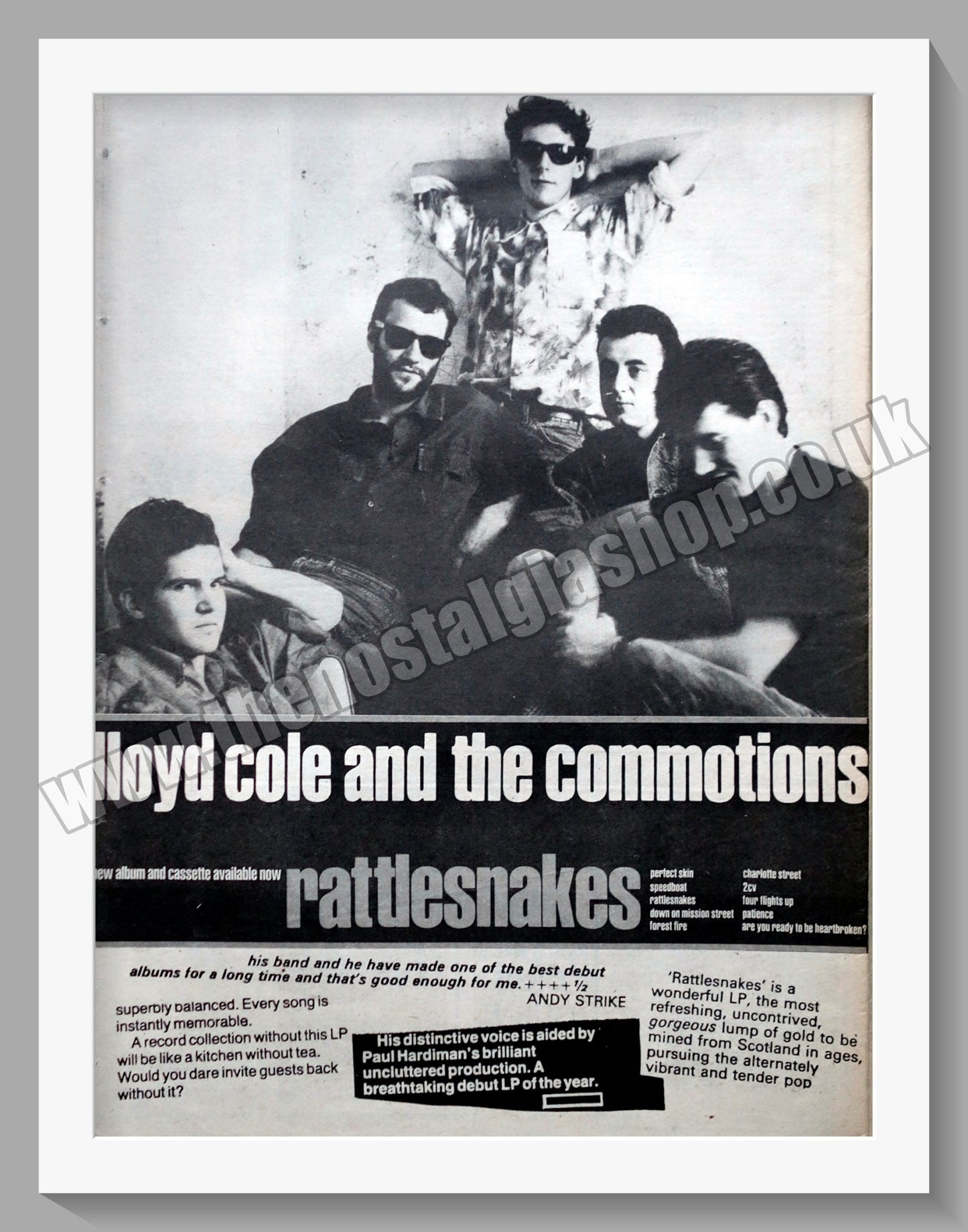 Lloyd Cole And The Commotions Rattle Snakes. 1984 Large Original Advert (ref AD15199)