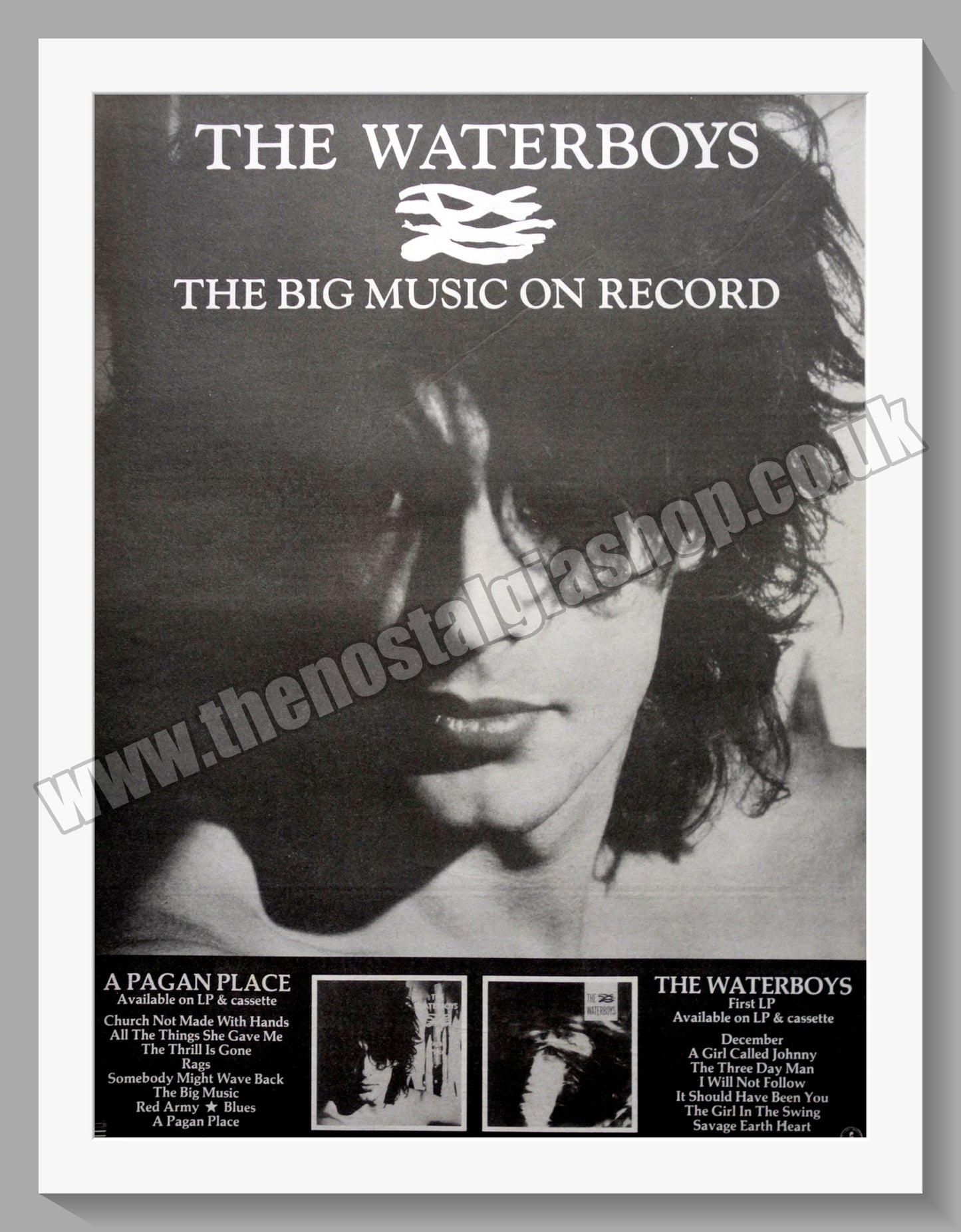 Waterboys (The) A Pagan Place. 1984 Large Original Advert (ref AD15321)