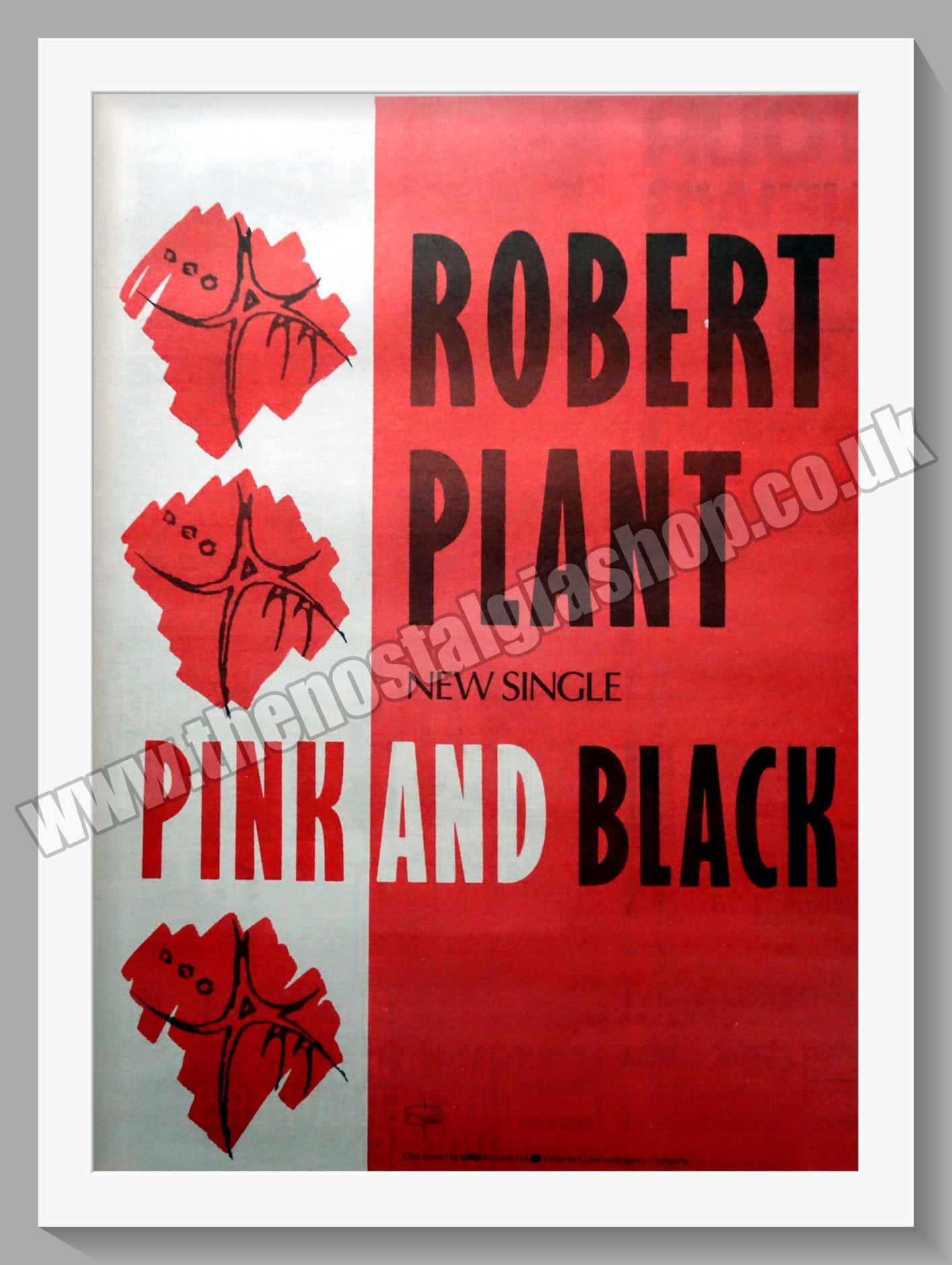 Robert Plant. Pink And Black. 1985 Original Advert (ref AD15262)