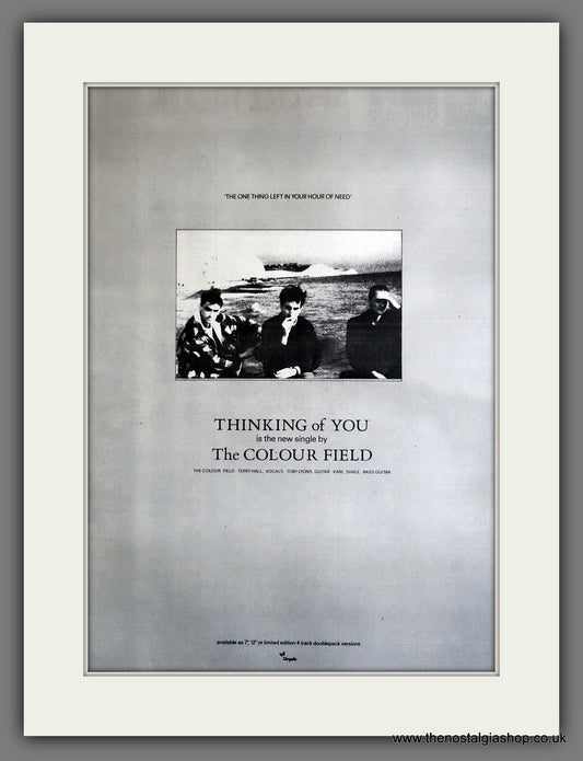 Colour Field (The) Thinking Of You. 1985 Large Original Advert (ref AD15310)