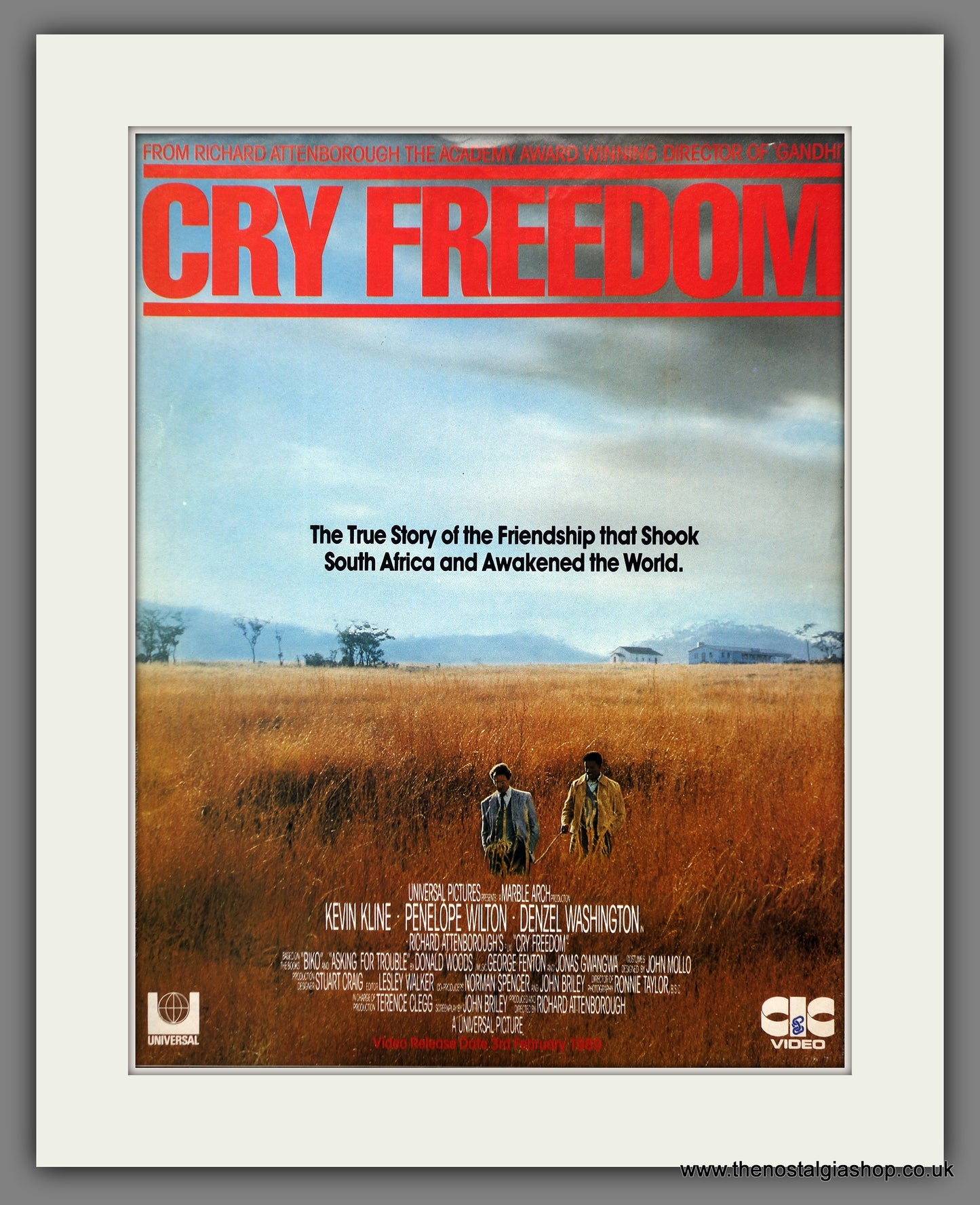 Cry Freedom. Denzel Washington. 1989 Original Advert (ref AD60791)