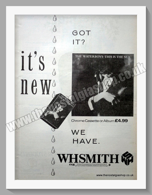 Waterboys (The) This Is The Sea. 1985 Large Original Advert (ref AD15384)