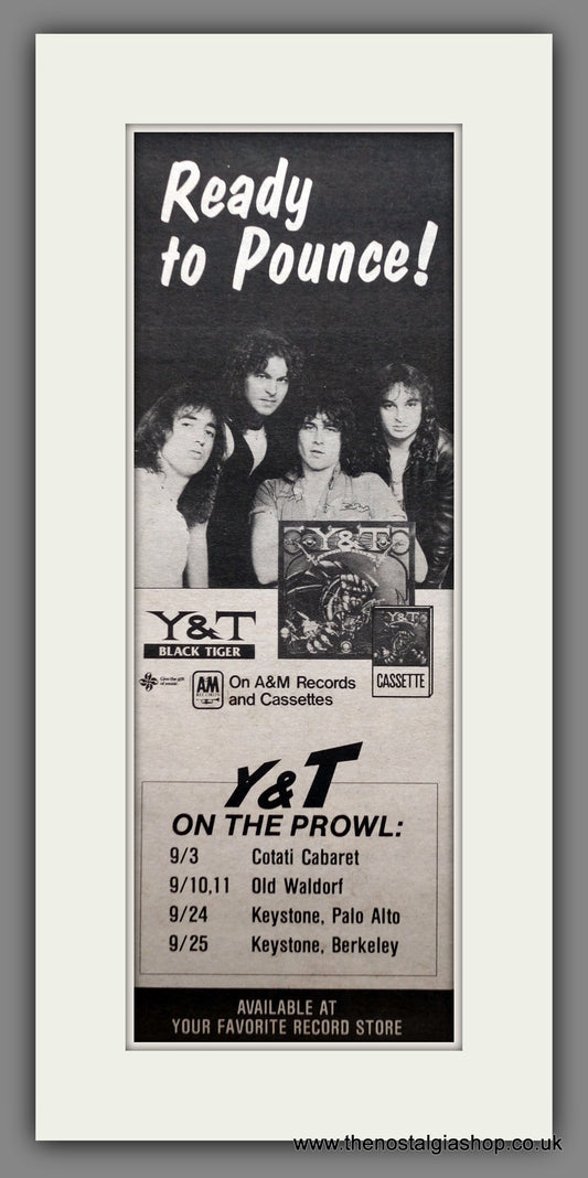 Y & T Black Tiger. Original Advert 1982 (ref AD200493)