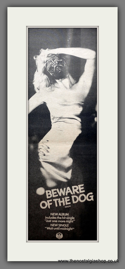 Yellow Dog. Beware Of The Dog. Original Double Advert 1978 (ref AD200494)