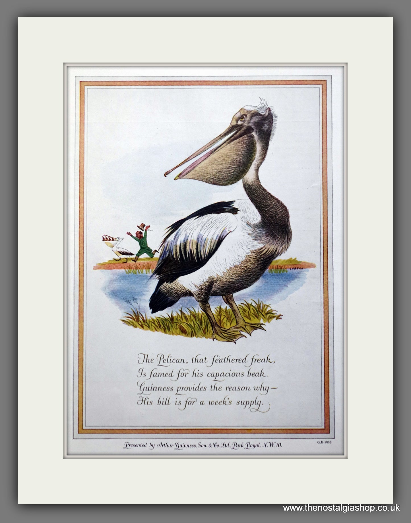 Guinness. Pelican. 1952 Original Advert  (ref AD60858)