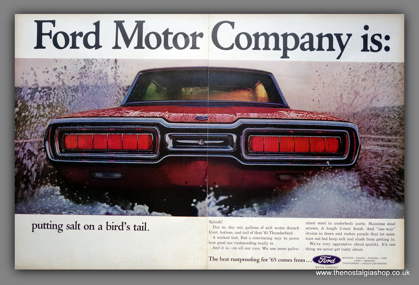 Ford Motor Company. Ford Thunderbird. Original American Advert 1964 Unmounted. (ref AD301192)