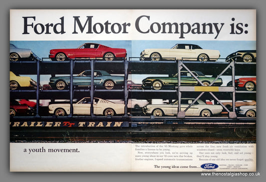 Ford Motor Company. Ford Mustangs. Original American Advert 1964 Unmounted. (ref AD301193)