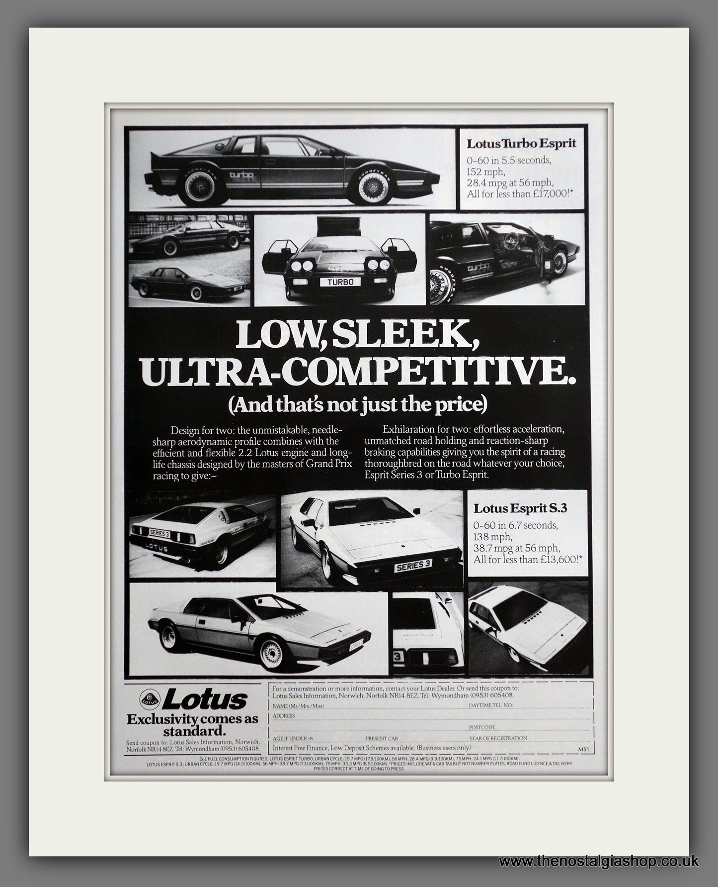 Lotus. 1981 Original Advert (ref AD61135)