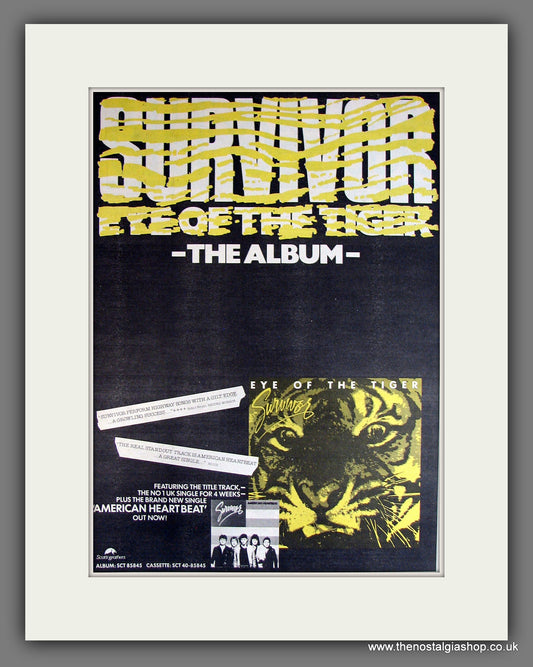 Survivor. Eye Of The Tiger. Vintage Advert 1982 (ref AD14123)