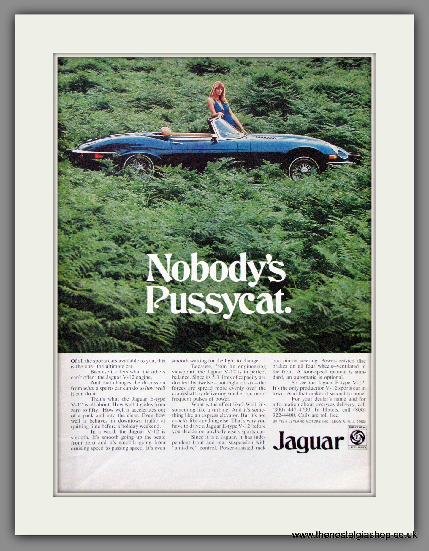 Jaguar E-Type V-12. Nobody's Pussycat. 1974 Original American Advert (ref AD52040)