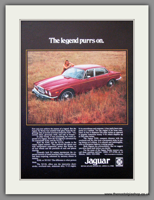 Jaguar XJ. 1975 Original American Advert (ref AD52043)