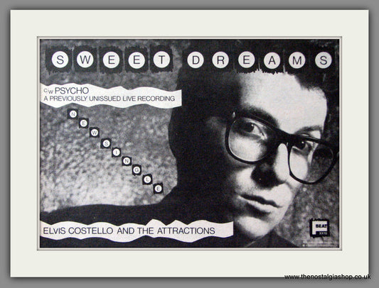 Elvis Costello. Sweet Dreams. Original Advert 1981 (ref AD52905)