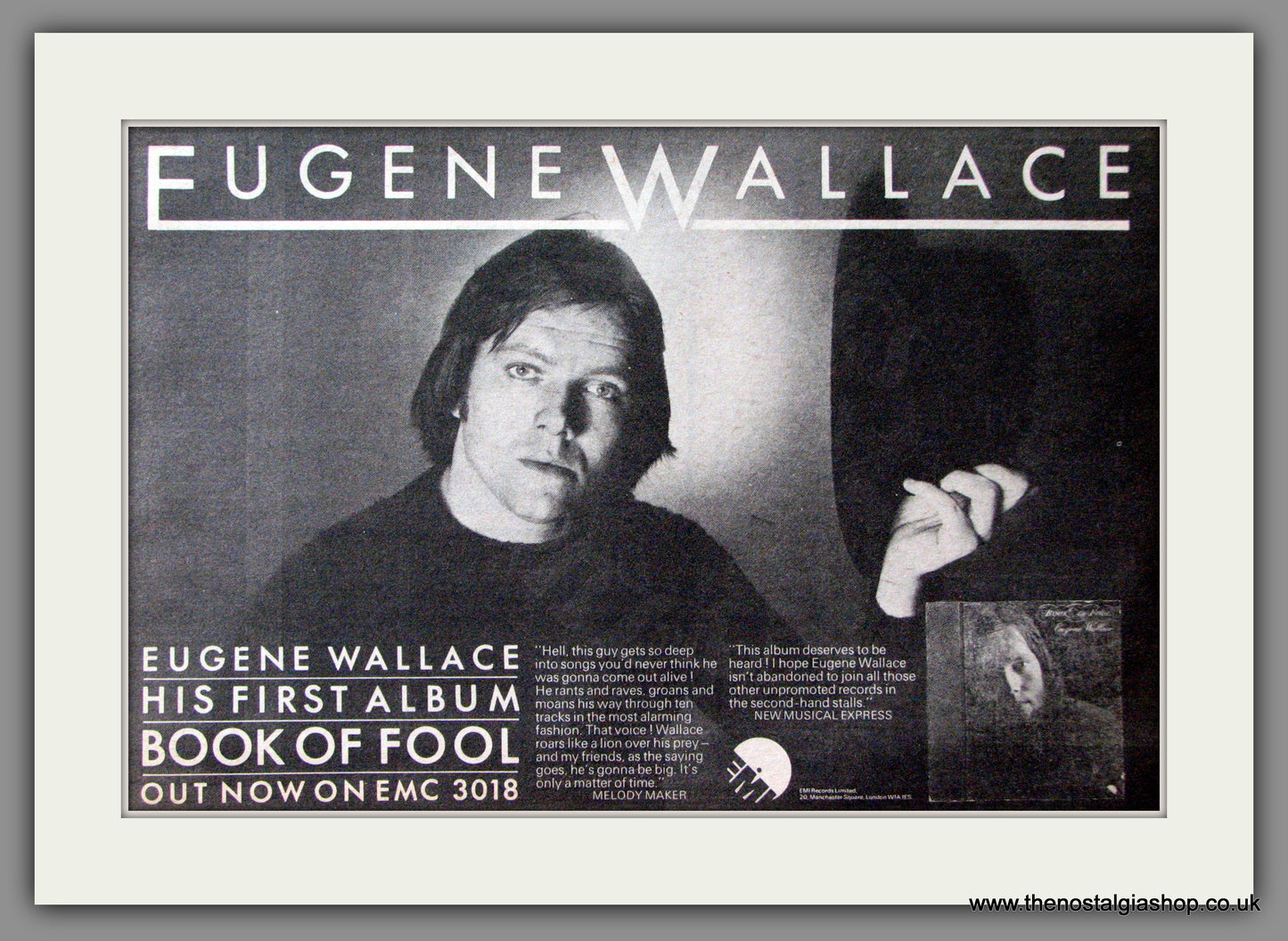 Eugene Wallace. Book Of Fool. Original Advert 1974 (ref AD53448)