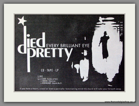 Died Pretty, Every Brilliant Eye. Original Advert 1990 (ref AD53479)