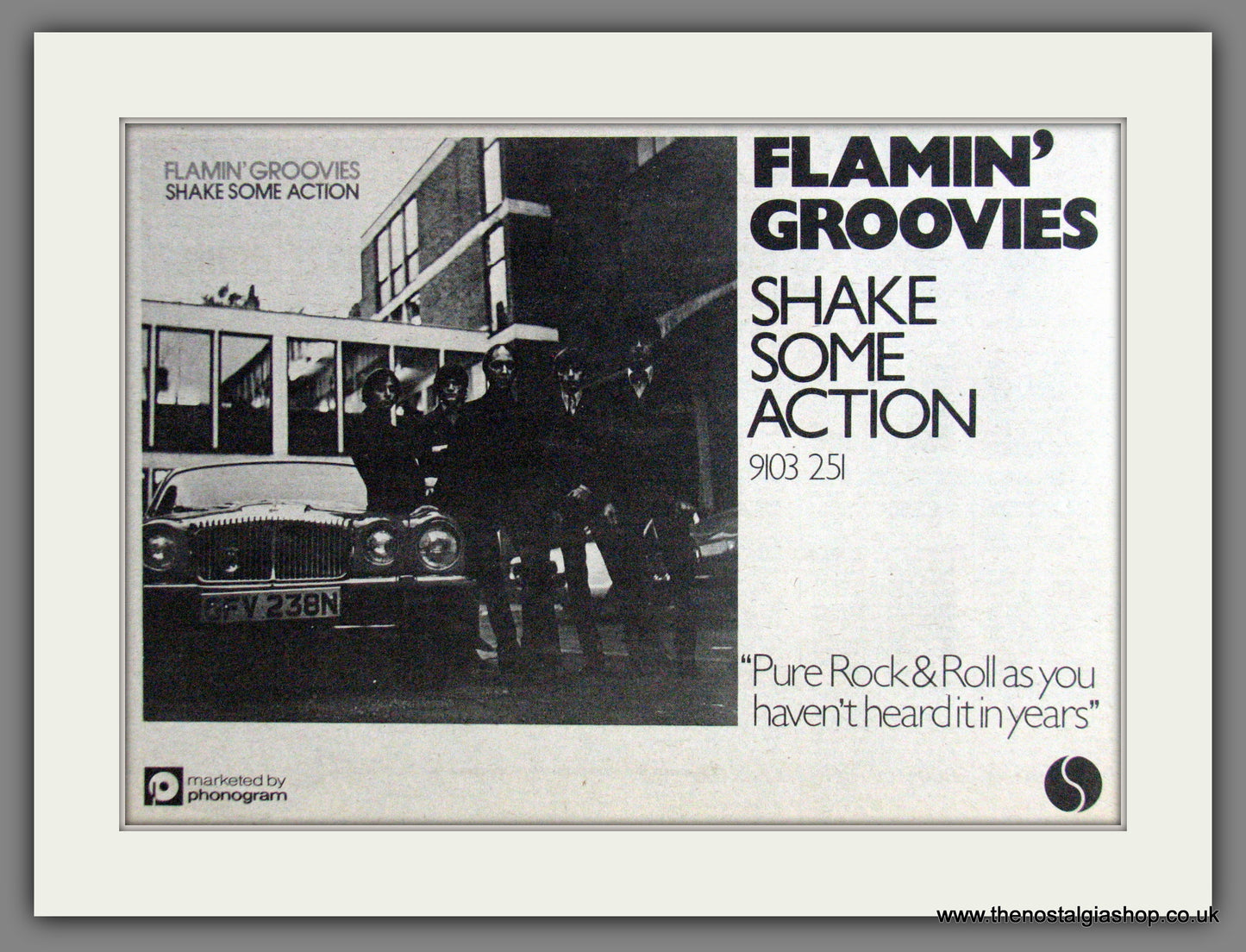 Flamin' Groovies. Shake Some Action. Original Advert 1976 (ref AD53098)