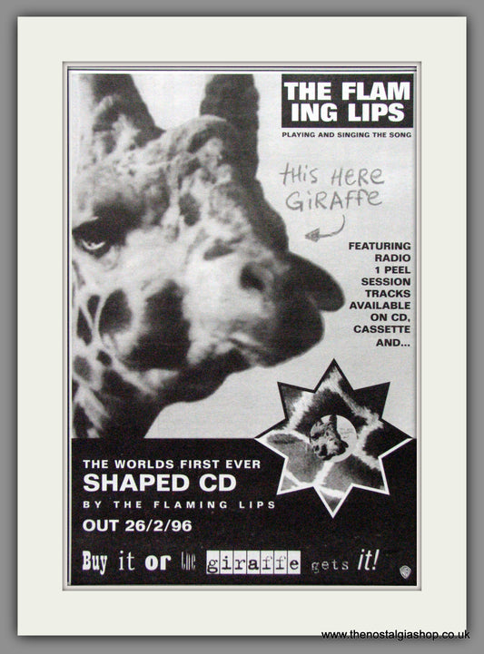 Flaming Lips (The), This Here Giraffe. 1996 Original Advert (ref AD53137)