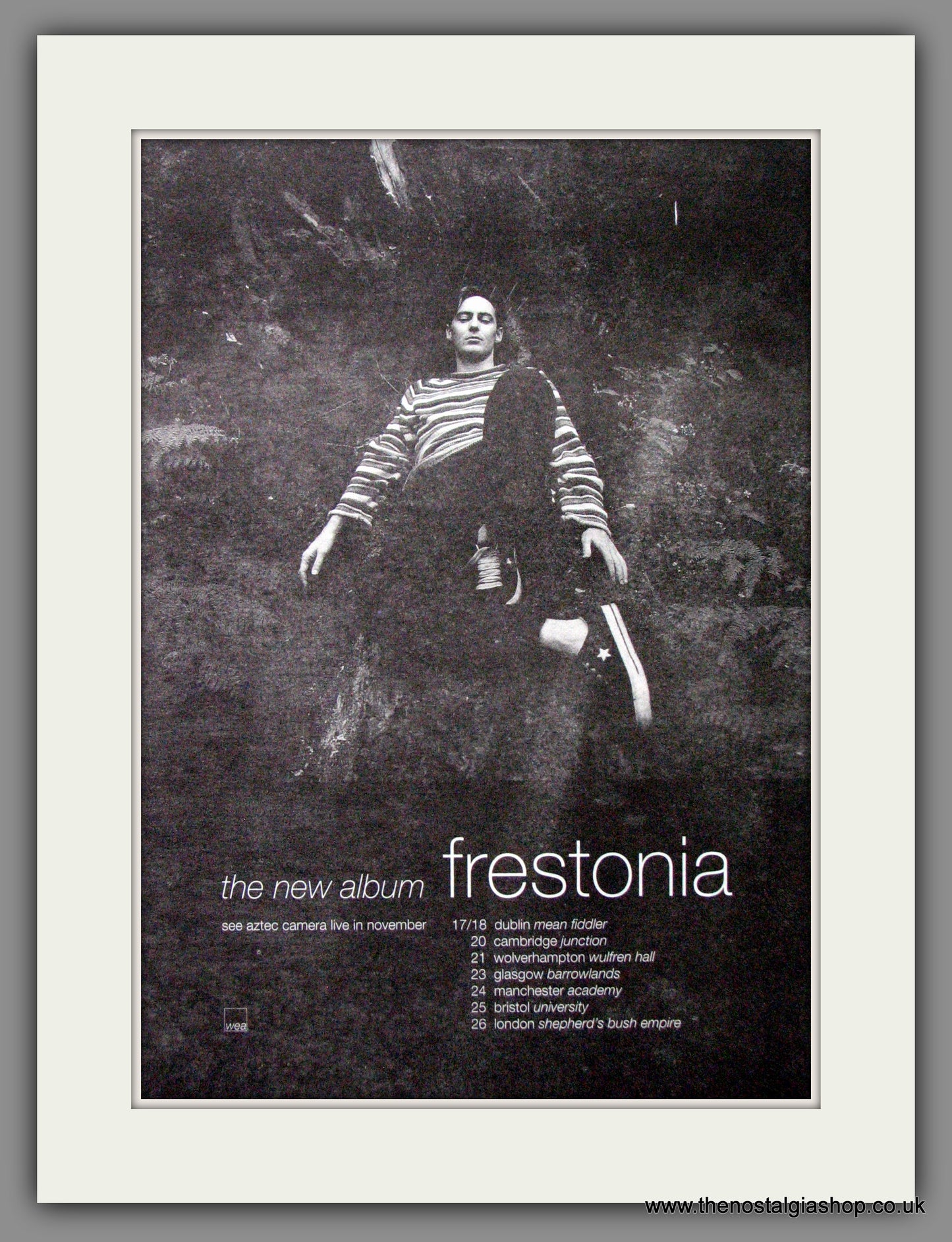 Aztec Camera, Frestonia. 1995 Original Advert (ref AD53311)