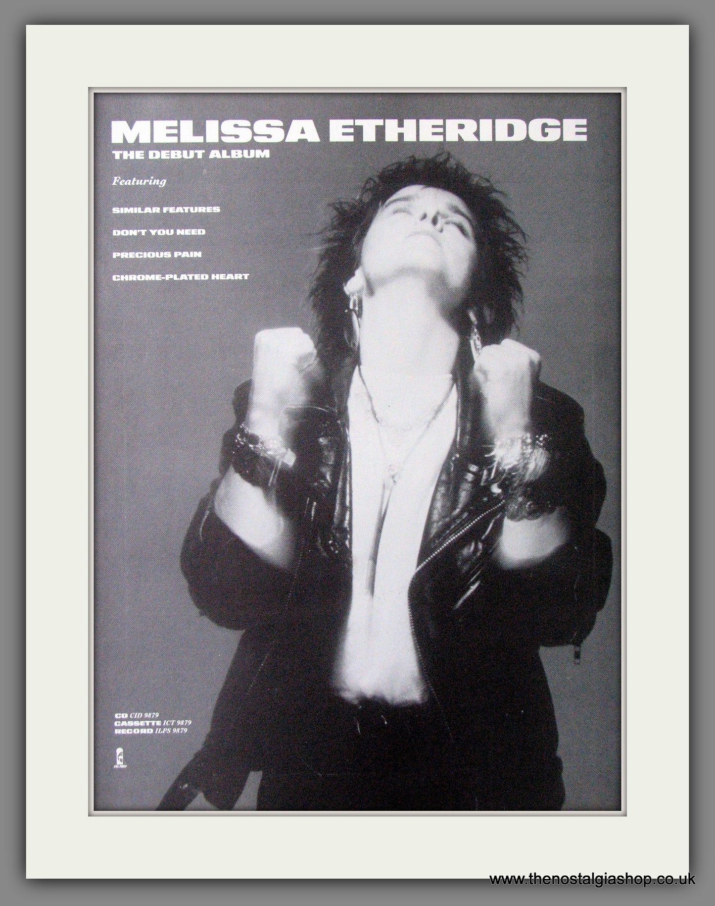 Melissa Etheridge, Debut Album. 1988 Original Advert (ref AD54070)