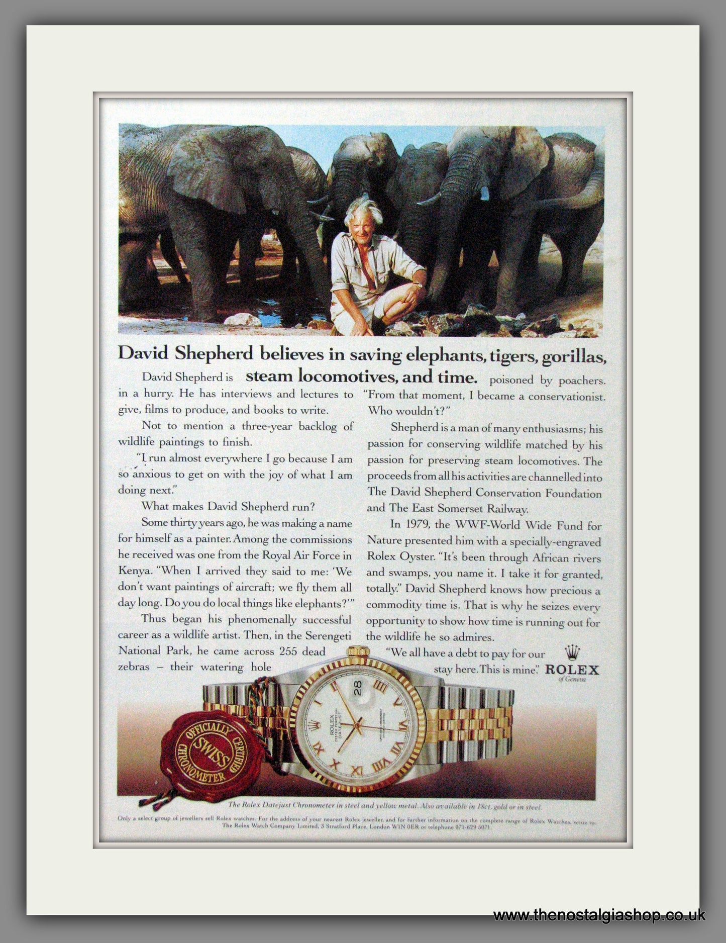 Rolex Datejust Chronometer. David Shepherd. Original Advert 1993 (ref AD54391)