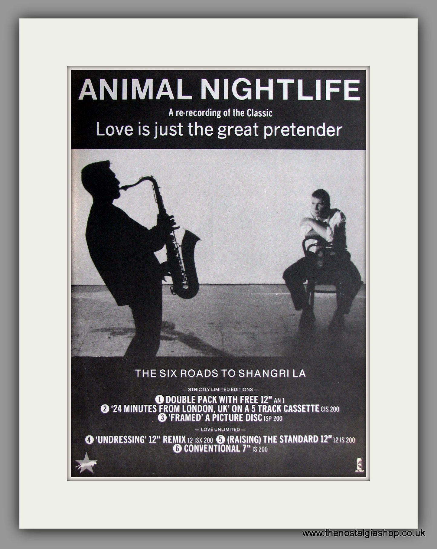 Animal Nightlife. Love Is Just The Great Pretender. Original Advert 1985 (ref AD11493)