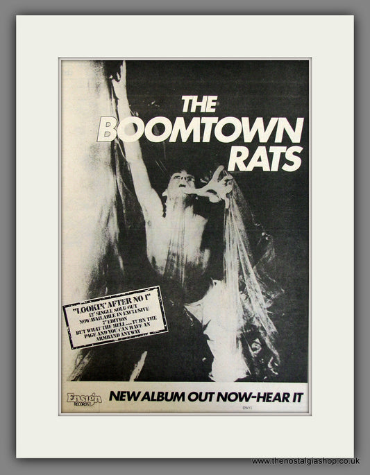 Boomtown Rats Looking After No 1. Original Advert 1977 (ref AD11726)